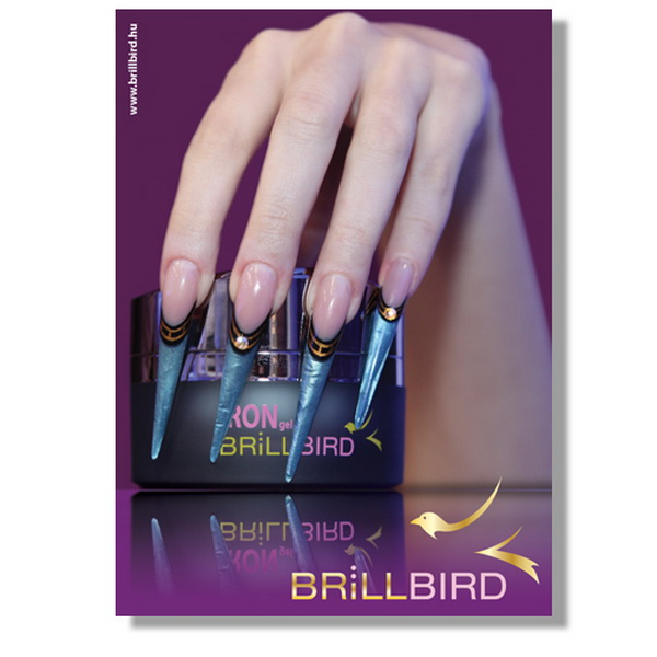 BrillBird Poszter No8